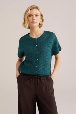 gebreid vest blauw
