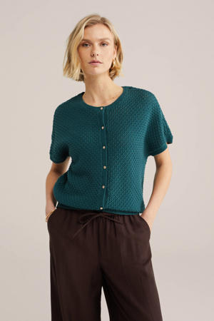 gebreid vest blauw