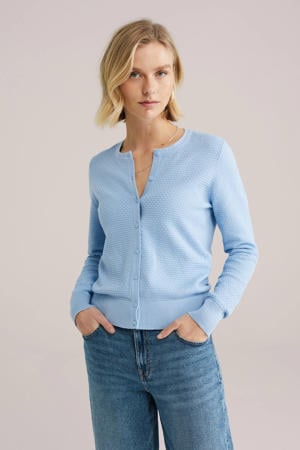 gebreid vest lichtblauw