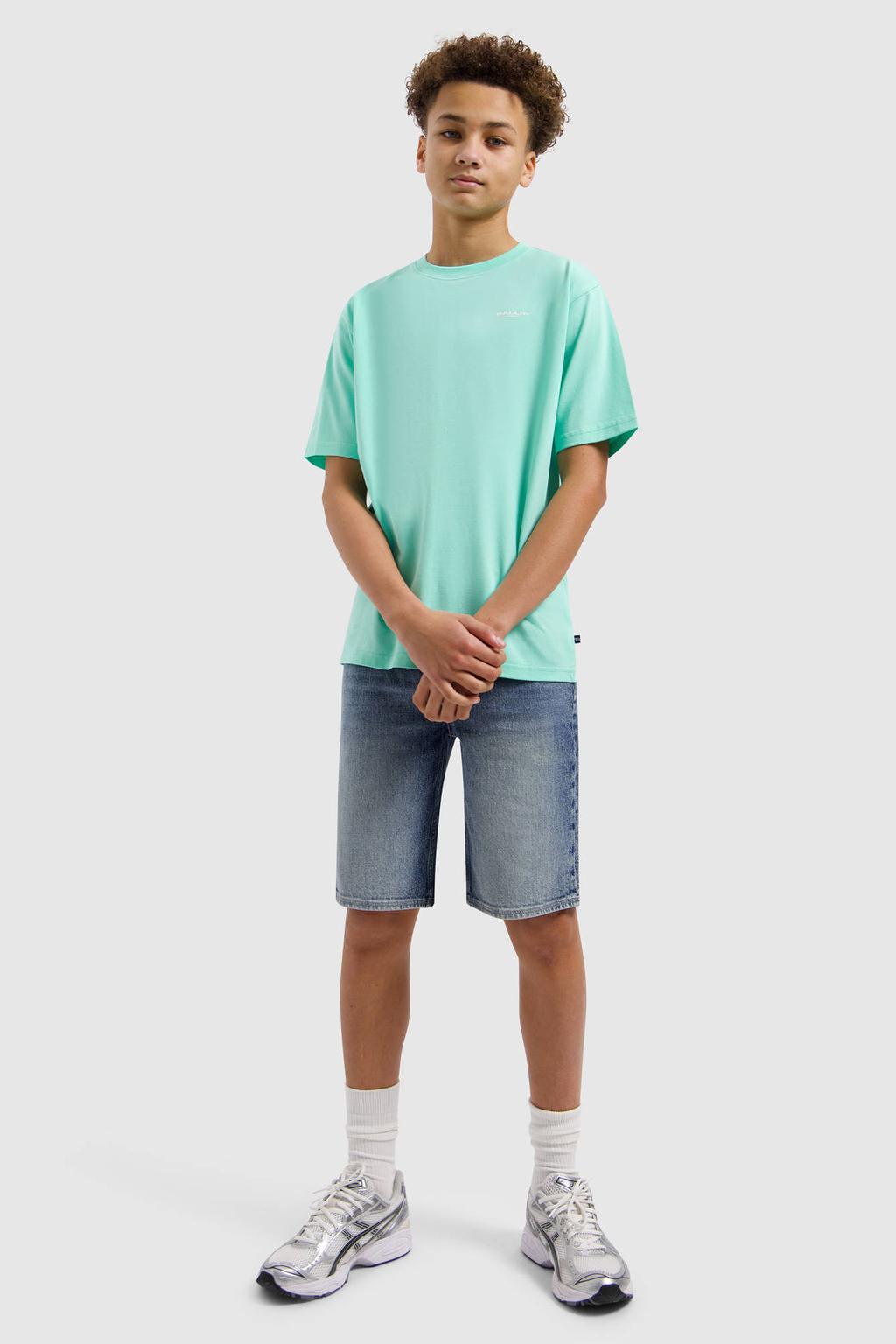 Mintgroene jongens Ballin T-shirt van katoen met backprint, korte mouwen en ronde hals