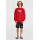 O'Neill sweater rood