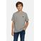 Cars T-shirt met backprint grijs
