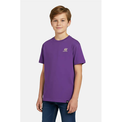 Cars T-shirt met backprint paars afbeelding