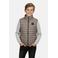 Cars bodywarmer taupe