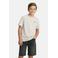 Cars T-shirt met backprint grijs