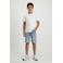 Cars denim regular waist short stonewashed