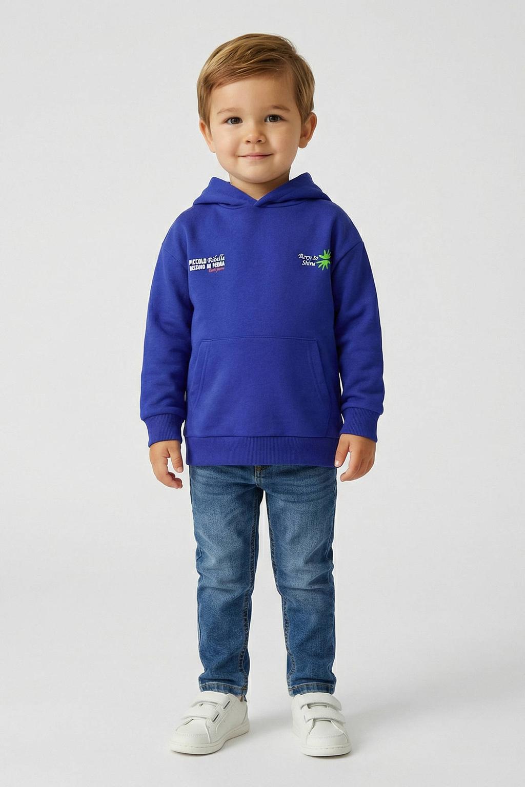 Blauwe jongens Little Cars hoodie van viscose met backprint, lange mouwen en capuchon