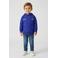 Little Cars hoodie met backprint blauw