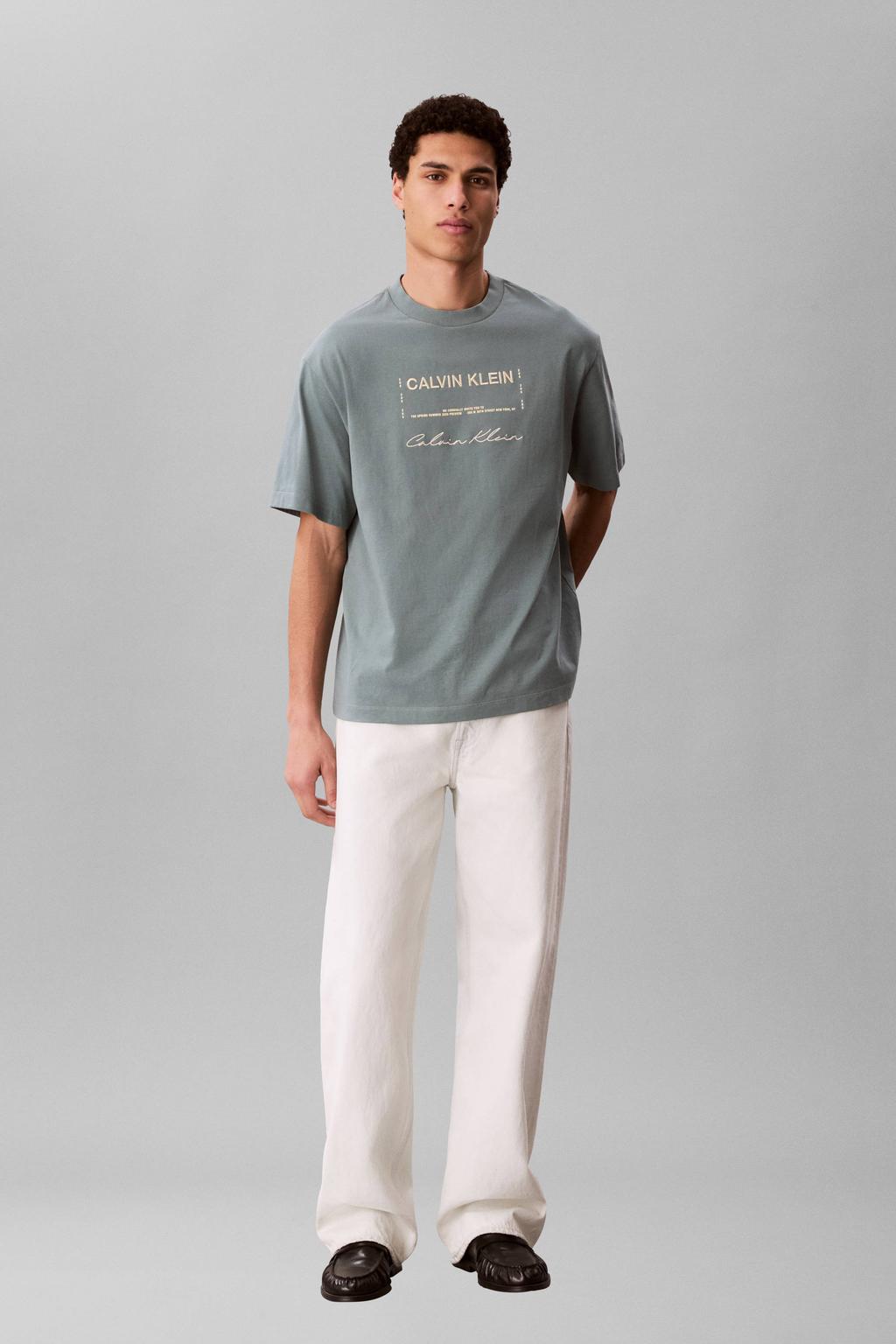Grijsgroene heren CALVIN KLEIN JEANS relaxed T-shirt groen van katoen met korte mouwen en borduursels