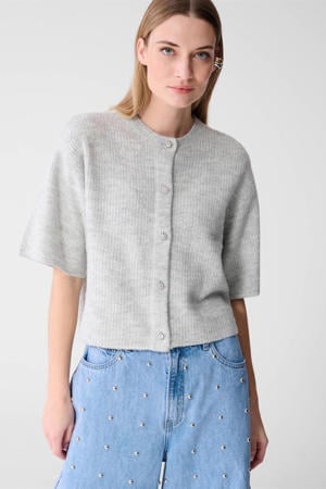 gebreid vest grijs