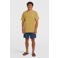 O'Neill zwemshort  O'Riginals Cali Ocean 16' groen
