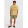 O'Neill zwemshort O'Riginals Stripe 15" geel/blauw