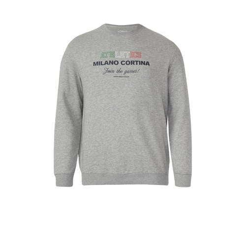 s.Oliver Big Size sweater grijs afbeelding