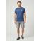 Cars slim short grey denim