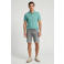 Cars CALIFORNIA denim regular short grey denim