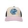 Prohibited pet Tire Trucker beige/roze