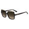 Love Moschino zonnebril MOL 102/S met tortoise print bruin