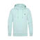 Petrol Industries hoodie mintgroen