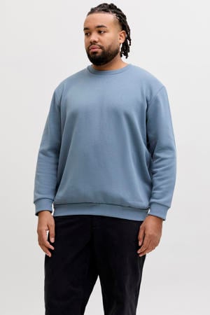 sweater Plus Size blauw