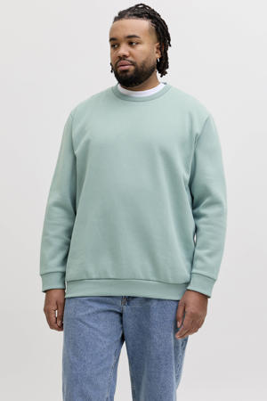 sweater Plus Size turquoise