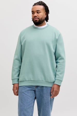 sweater Plus Size turquoise