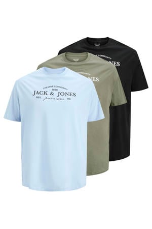 regular T-shirt Plus Size multi - (set van 3)