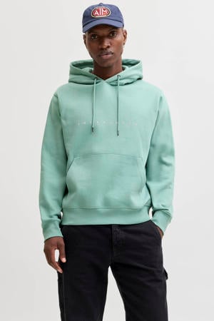 hoodie turquoise