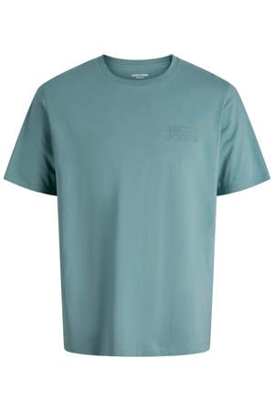 regular T-shirt turquoise