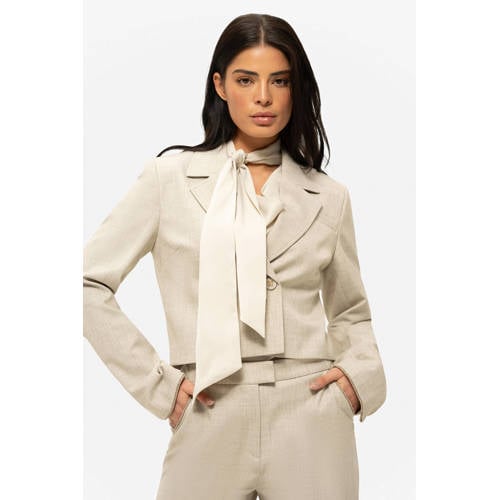 NIKKIE cropped blazer beige met glitter afbeelding