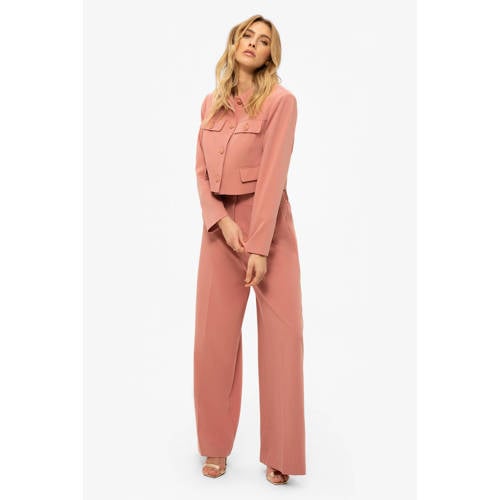 Fifth House straight low waist pantalon roze afbeelding