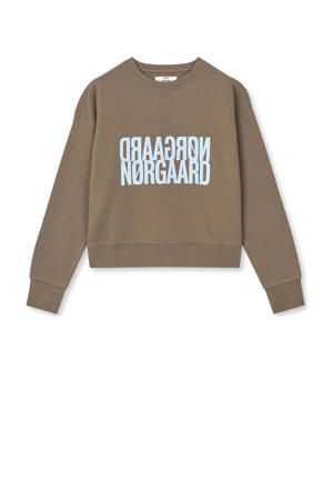 sweater bruin