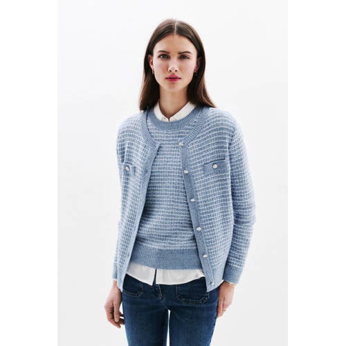 Caroll gestreepte gebreid vest met wol lichtblauw met lurex afbeelding