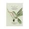 A Beautiful Story ketting Wishing Aventurijn