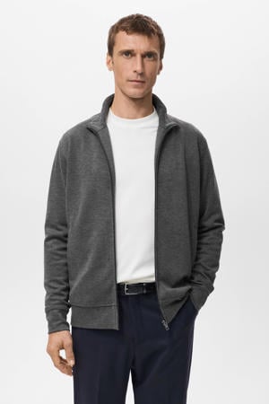 sweatvest grijs