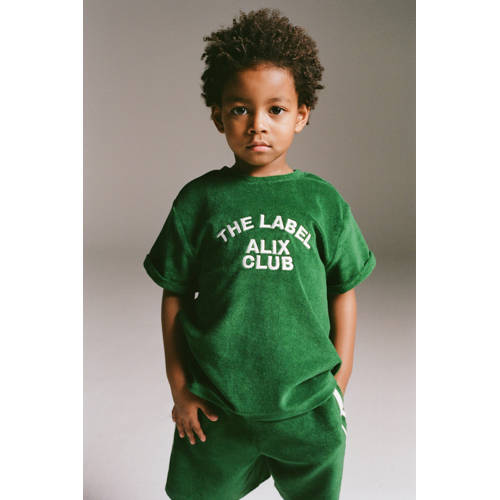 Alix Mini T-shirt groen afbeelding