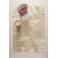 NOUS Living vloerkleed beige (290x200 cm)