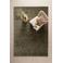 NOUS Living vloerkleed Tiemen groen (290x200 cm)