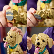 thumbnail: LEGO Icons Golden Retriever Puppy Bouwpakket met Dieren Figuur 11384