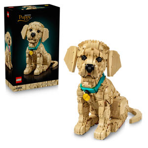 Golden Retriever Puppy Bouwpakket met Dieren Figuur 11384 