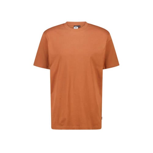 America Today regular T-shirt terra afbeelding