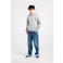 America Today hoodie met backprint grijs