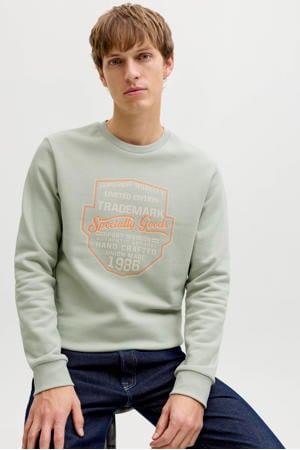 sweater lichtgroen