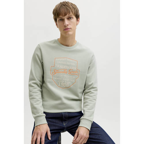JJ REBEL sweater lichtgroen afbeelding