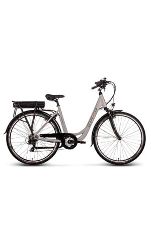 Degreaser e-bike