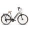 Villette l' Amant Bg elektrische damesfiets