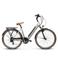 Villette  l' Amant Eco Bg elektrische damesfiets