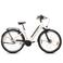 Saxonette  Saxonette Comfort Plus 5.0 e-bike