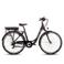 Saxonette  Degreaser e-bike