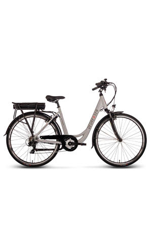 Degreaser e-bike