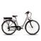 Saxonette  Degreaser e-bike